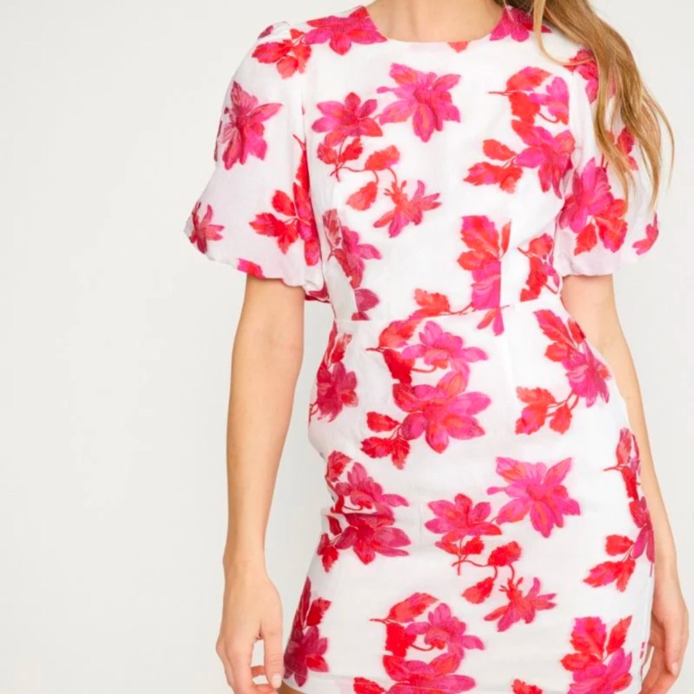 Entro Floral Pink and Red Dress